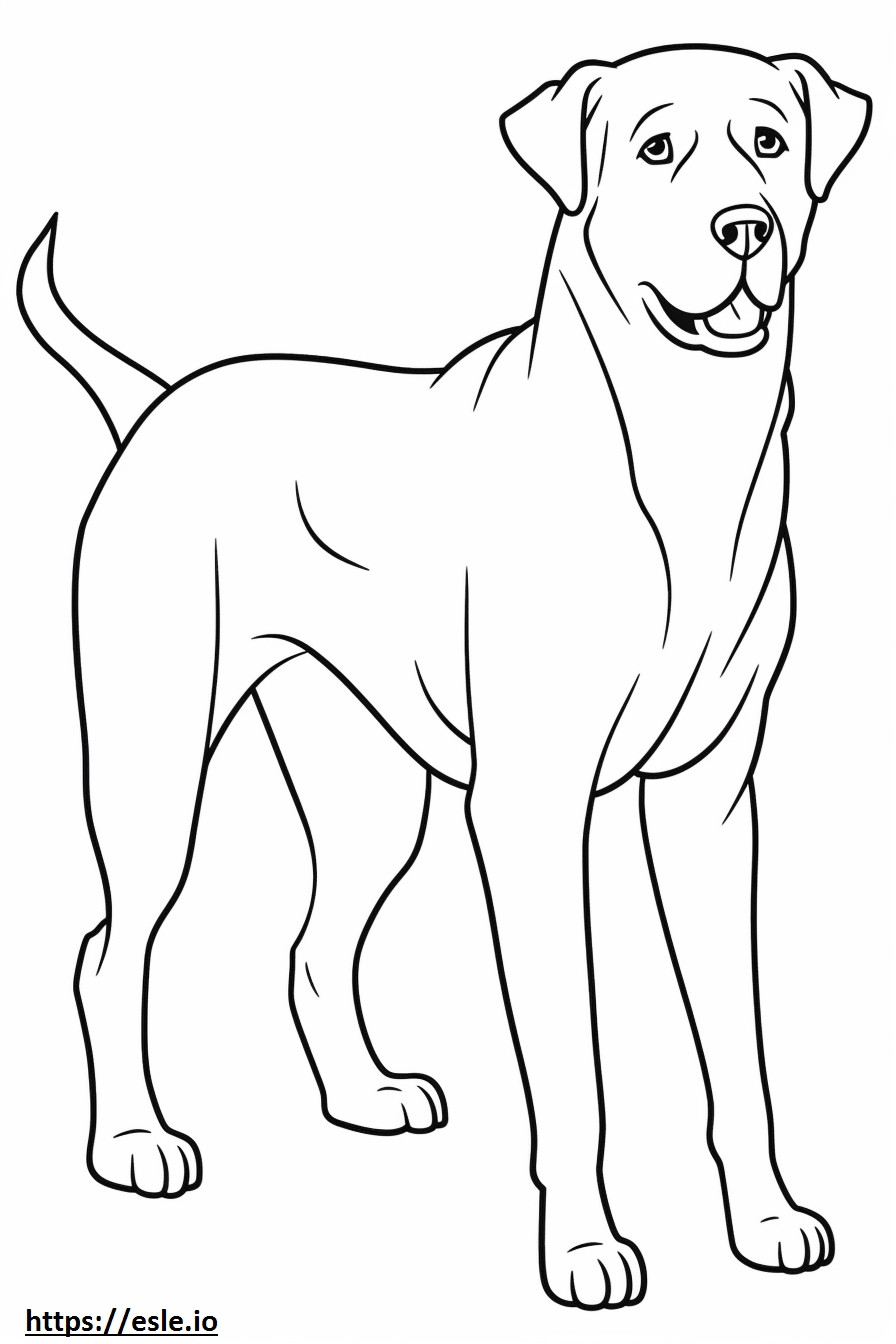 Desenho animado do cachorro Appenzeller para colorir