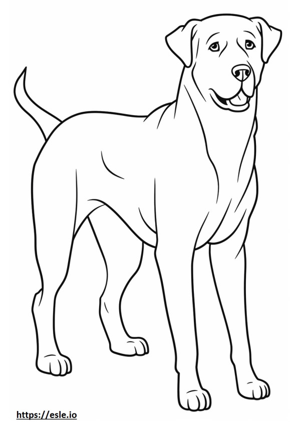 Appenzeller Dog cartoon coloring page