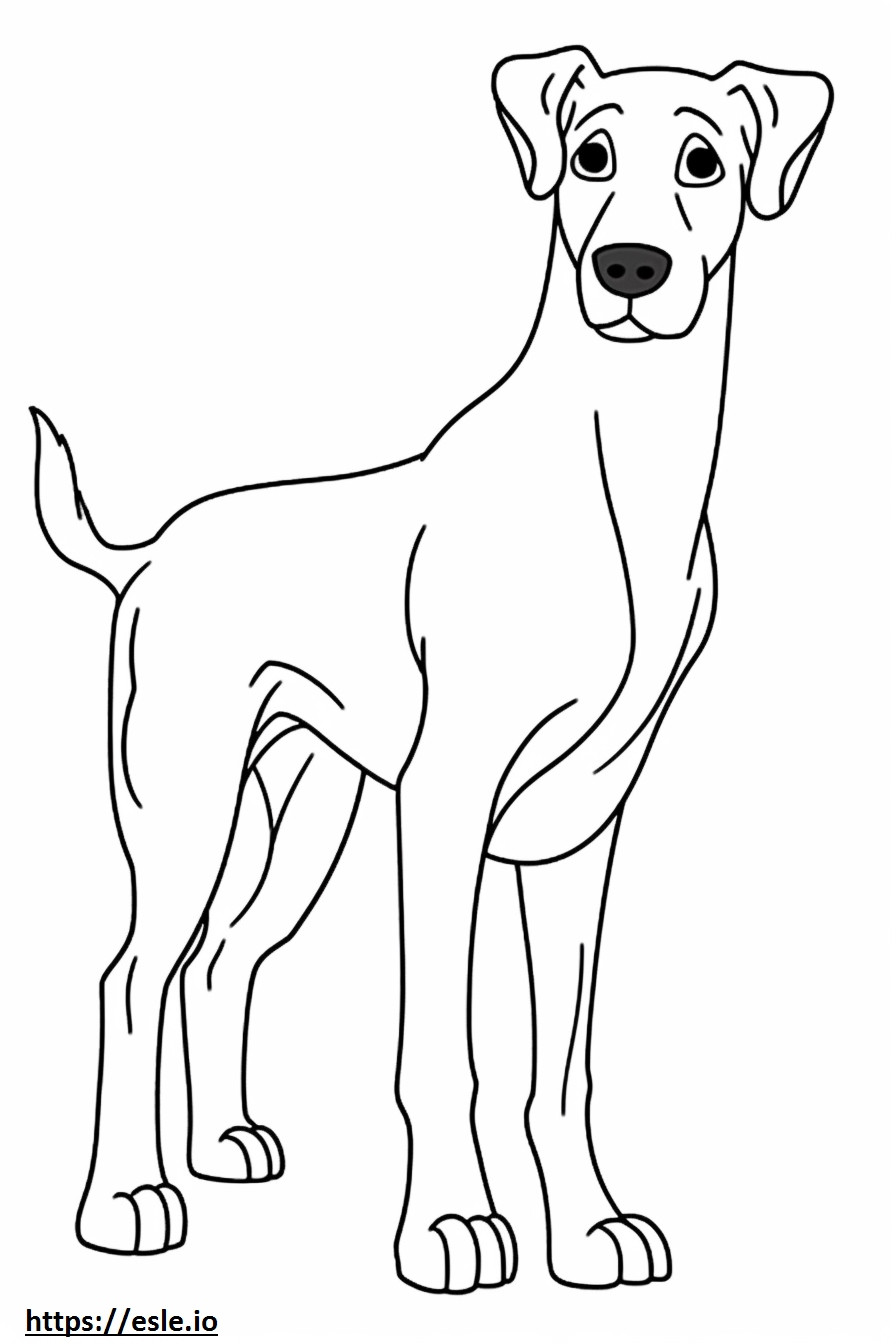 Coloriage Caricature de chien Appenzeller à imprimer