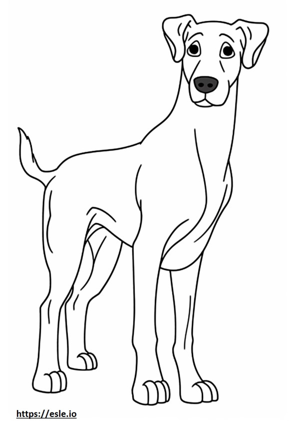 Coloriage Caricature de chien Appenzeller à imprimer