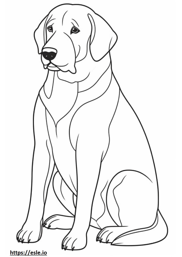 Appenzeller-koira söpö värityskuva