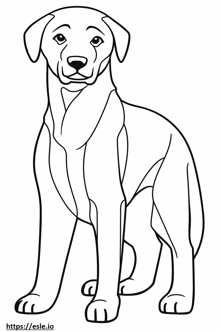 Pies Appenzeller uroczy kolorowanka