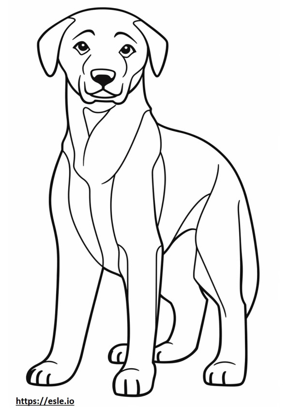 Appenzeller-hond schattig kleurplaat