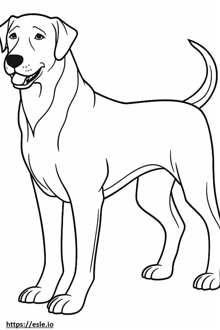 Appenzeller Dog happy coloring page