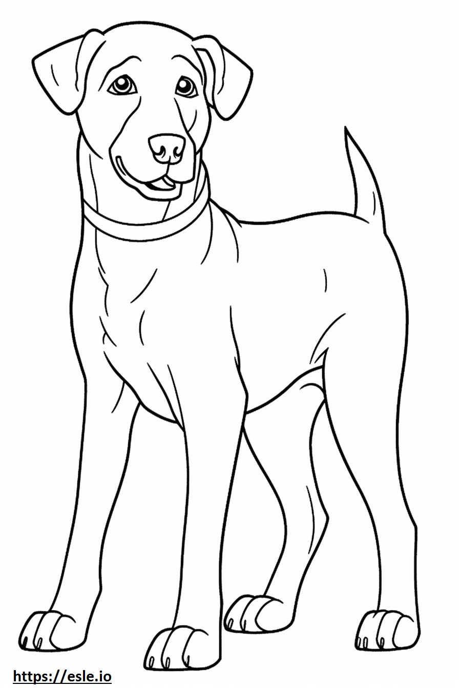 Appenzeller-hond blij kleurplaat kleurplaat