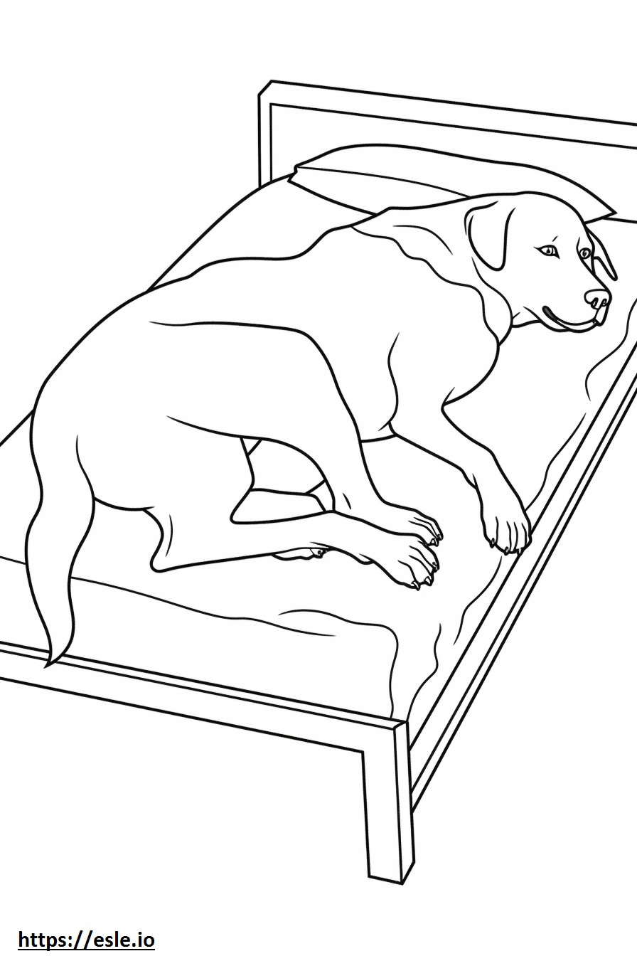 寝ているアッペンツェラー犬 ぬりえ - 塗り絵