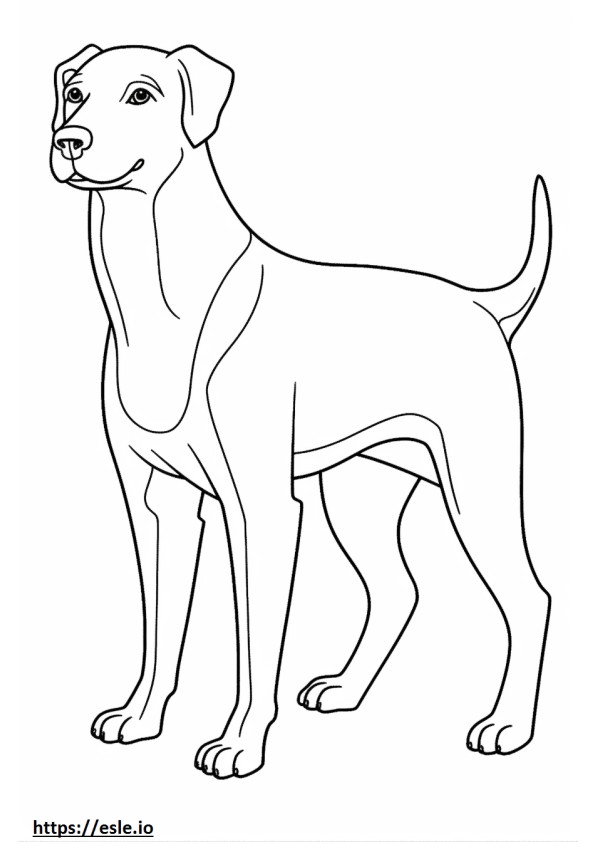 Appenzeller-koira leikkii värityskuva