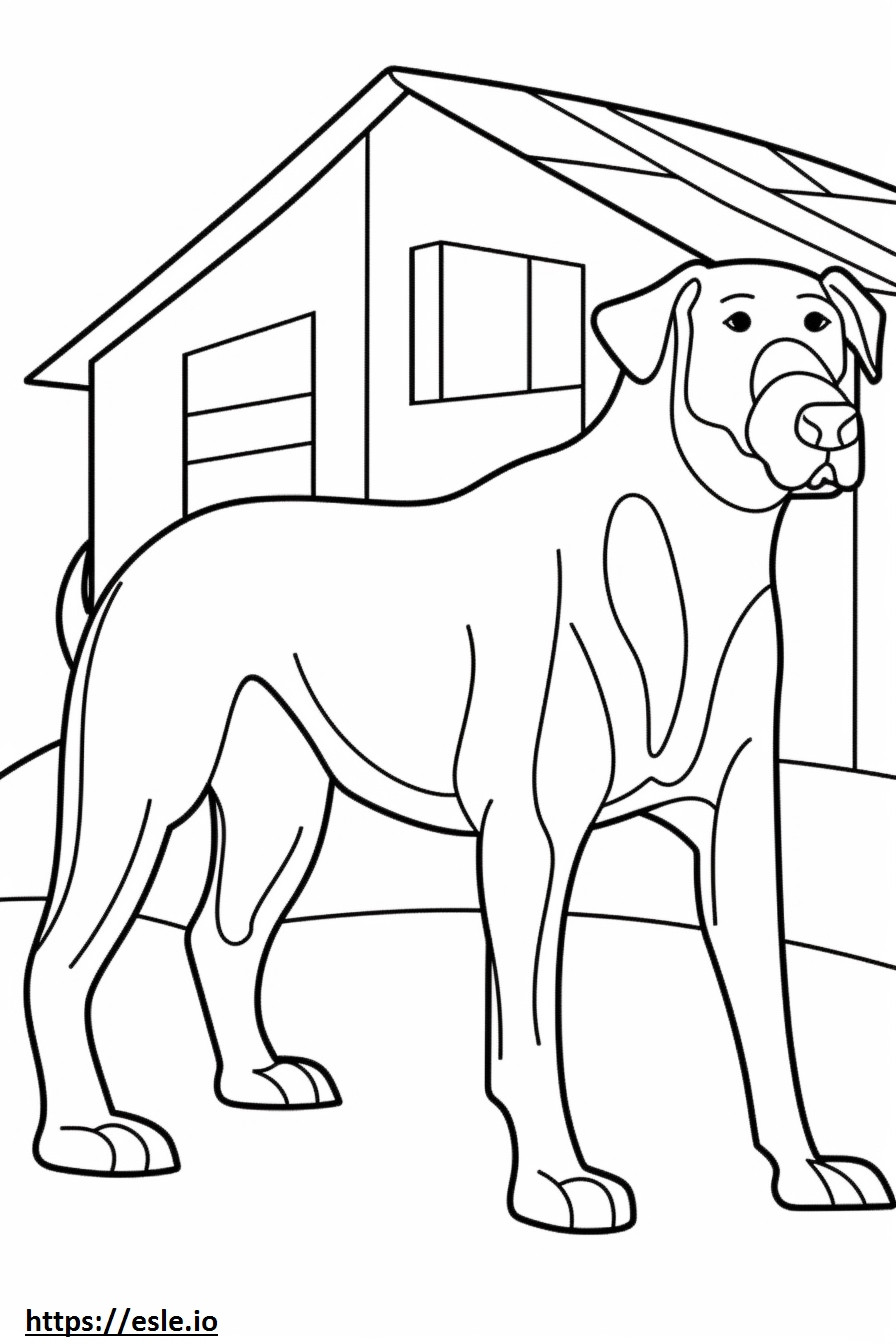 Appenzeller Dog Playing coloring page