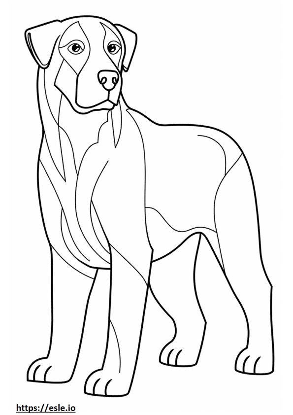 Appenzeller Dog Friendly coloring page