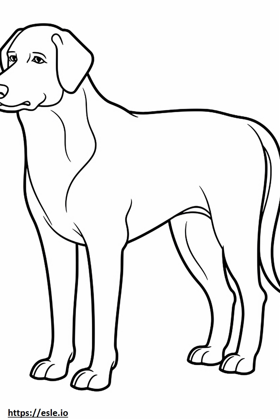 Appenzeller Hondvriendelijk kleurplaat kleurplaat