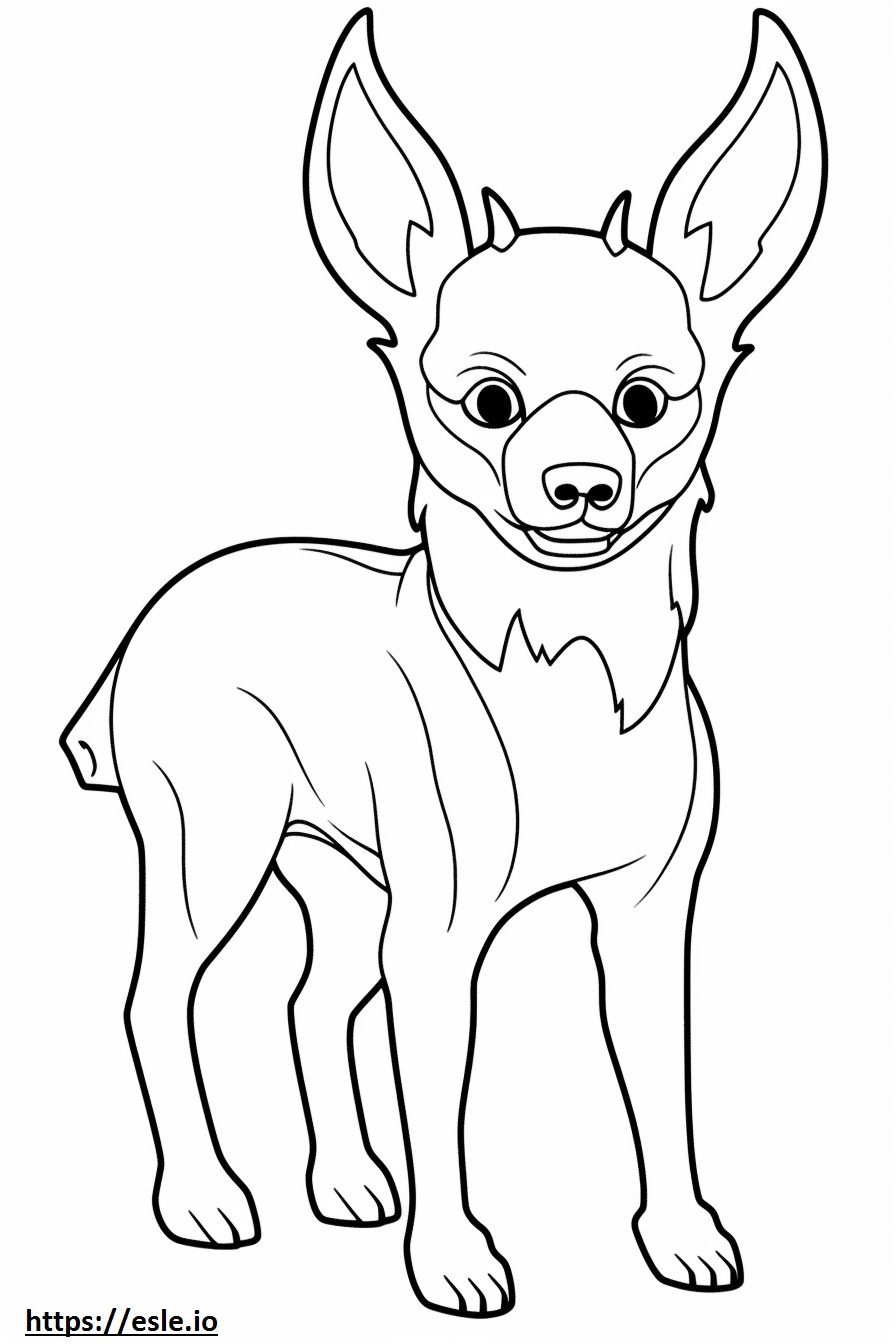 Apple Head Chihuahua, volledig lichaam kleurplaat kleurplaat