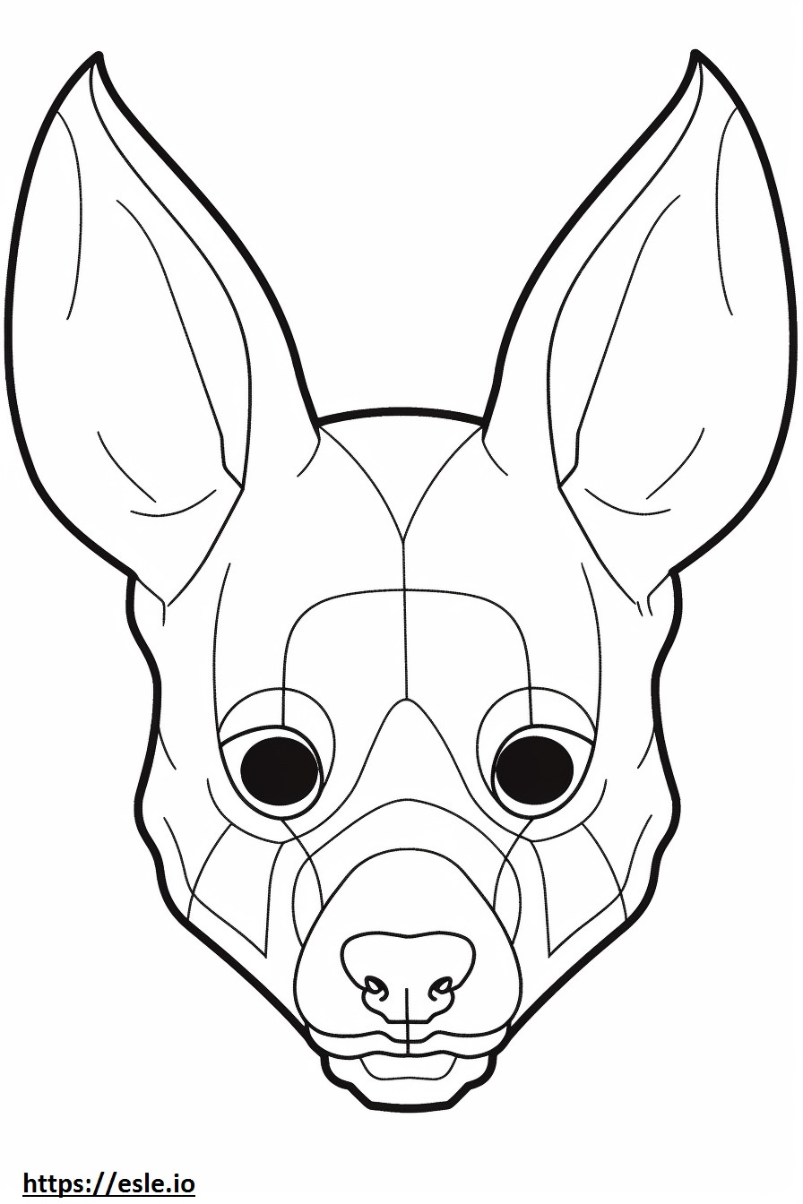 Apple Head Chihuahua kasvot värityskuva