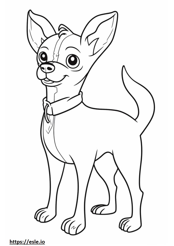 Apple Head Chihuahua full body coloring page