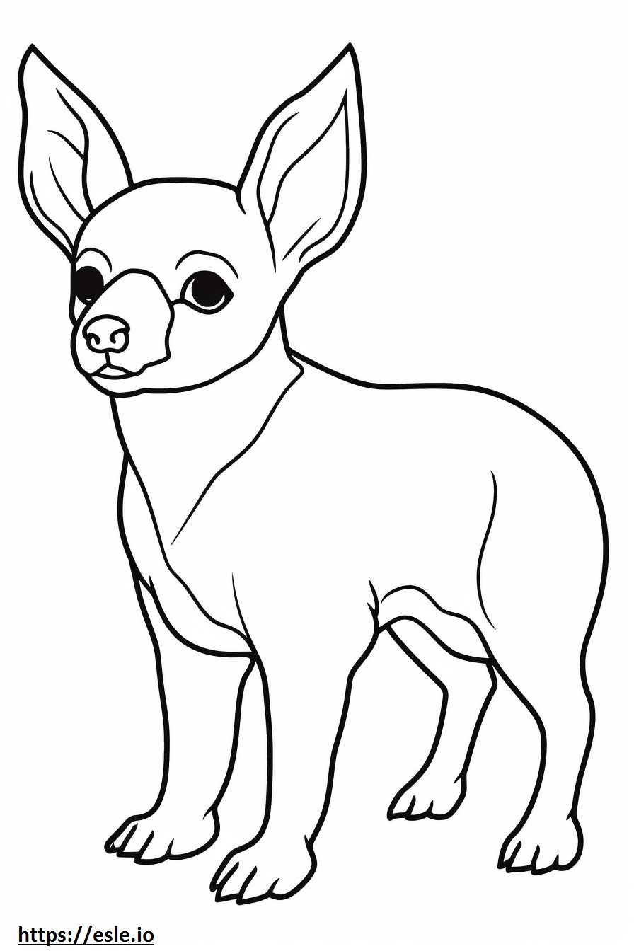 Apple Head Chihuahua, volledig lichaam kleurplaat kleurplaat