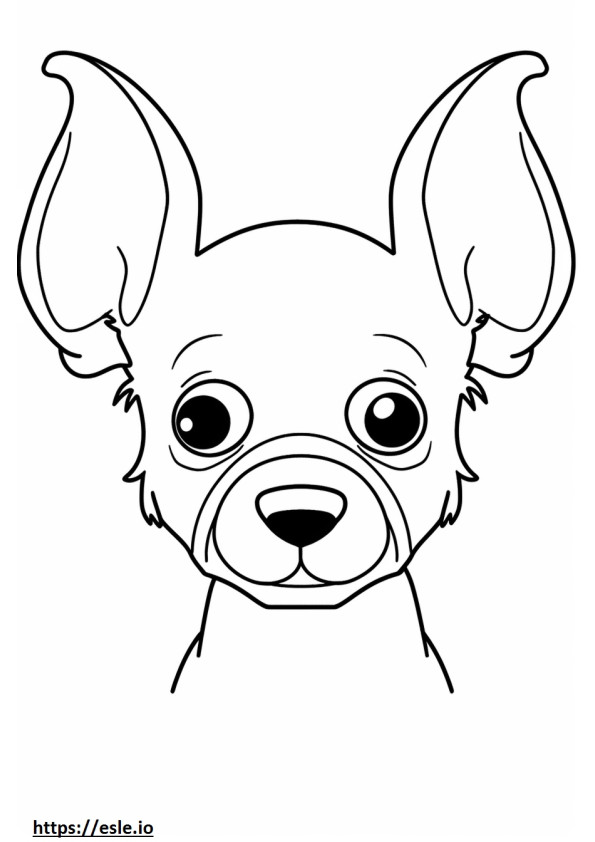 Apple Head Chihuahua kasvot värityskuva
