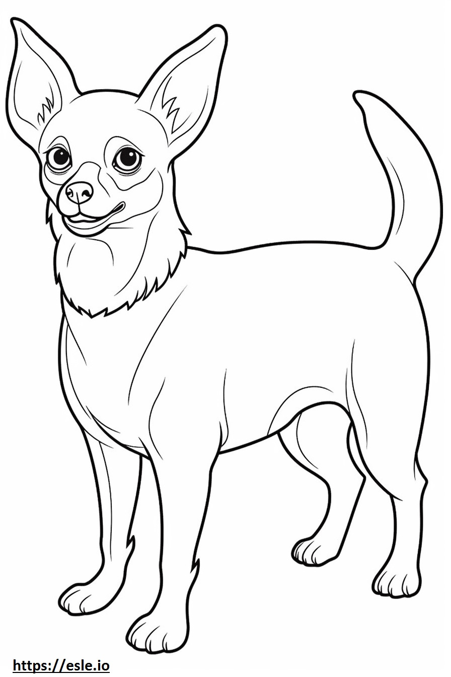 Chihuahua cabeza de manzana cuerpo completo para colorear e imprimir