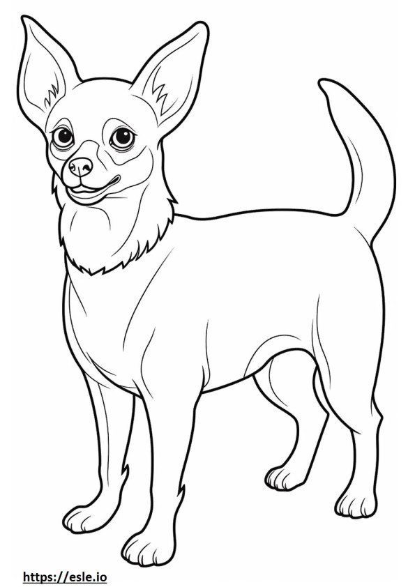 Całe ciało Chihuahua z głową jabłka kolorowanka
