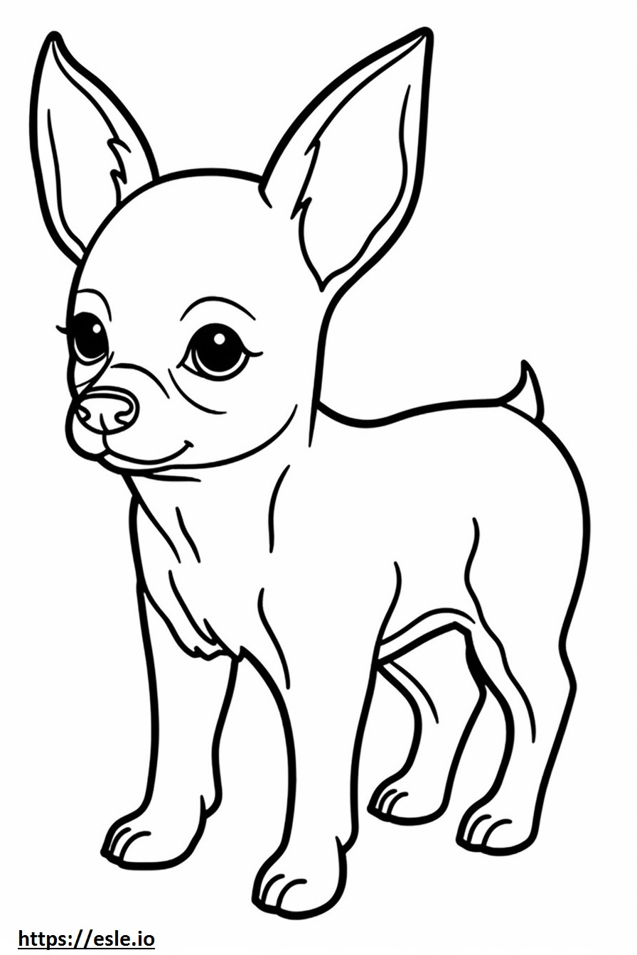 Apple Head Chihuahua vauva värityskuva