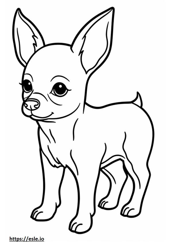Bayi Chihuahua Kepala Apel gambar mewarnai
