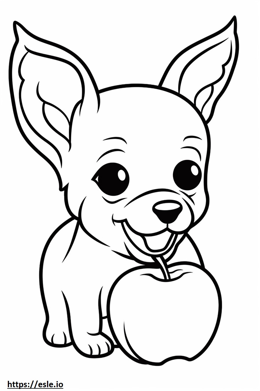 Copil Chihuahua cu cap de măr de colorat
