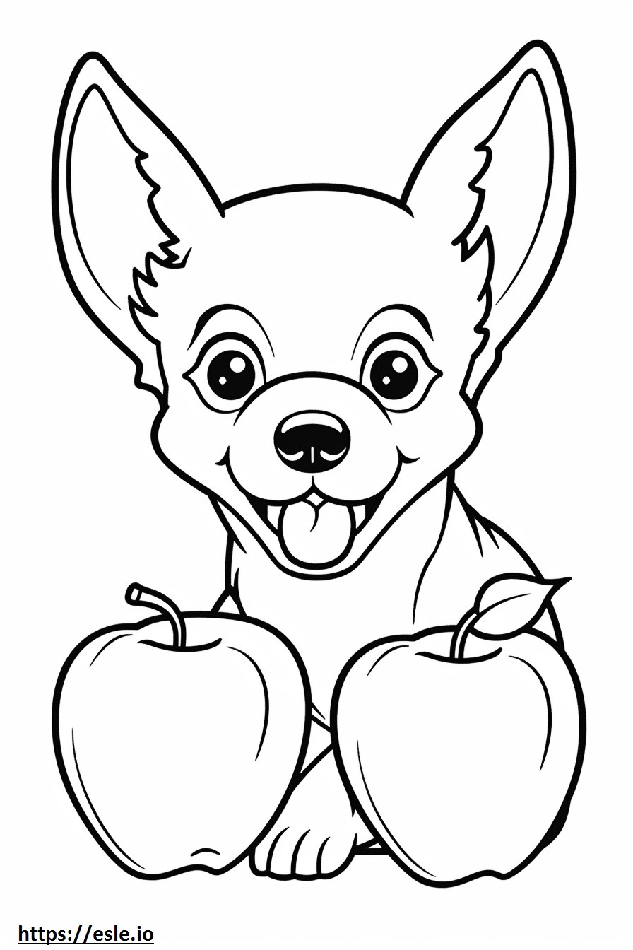 Cabeça de maçã Chihuahua fofa para colorir