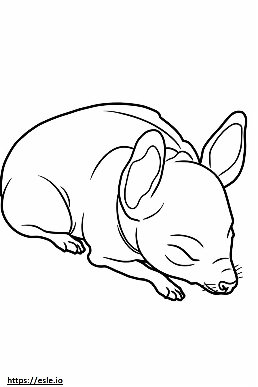 Almafej Chihuahua alszik szinező