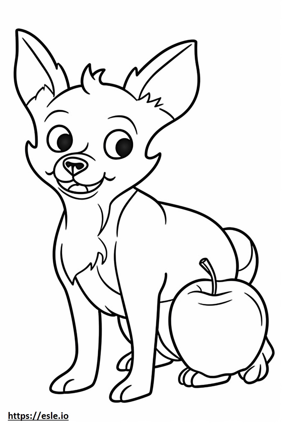 Apple Head Chihuahua brincando para colorir