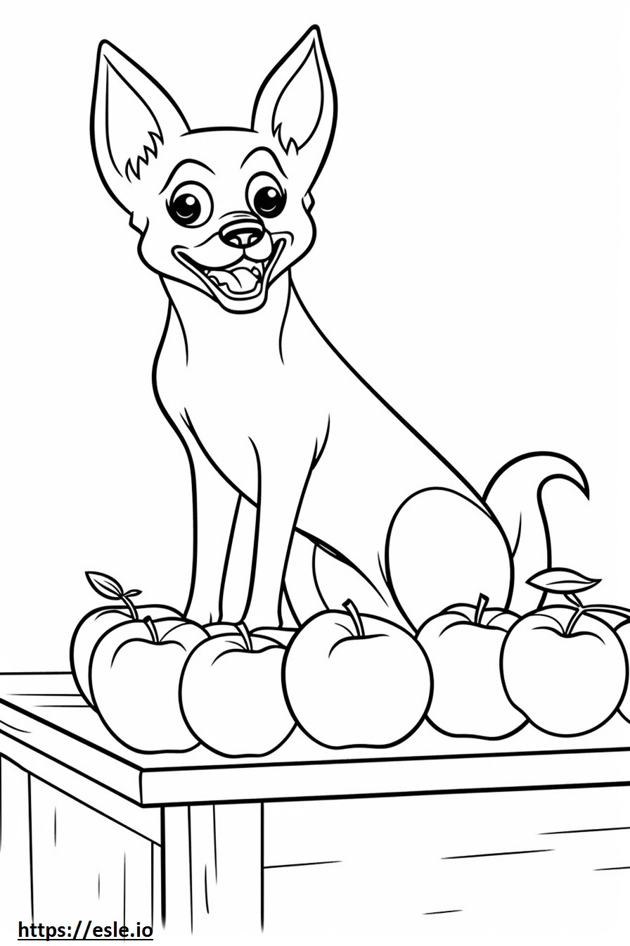 Chihuahua cabeza de manzana jugando para colorear e imprimir