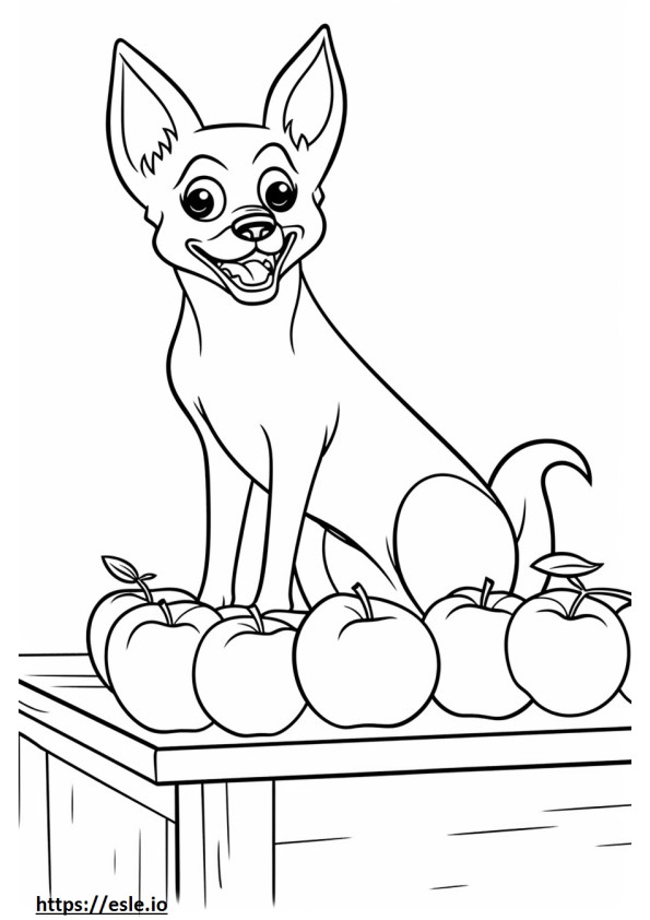 Coloriage Chihuahua tête de pomme jouant à imprimer