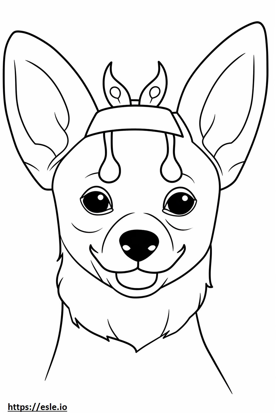 Apple Head Chihuahua Barátságos szinező