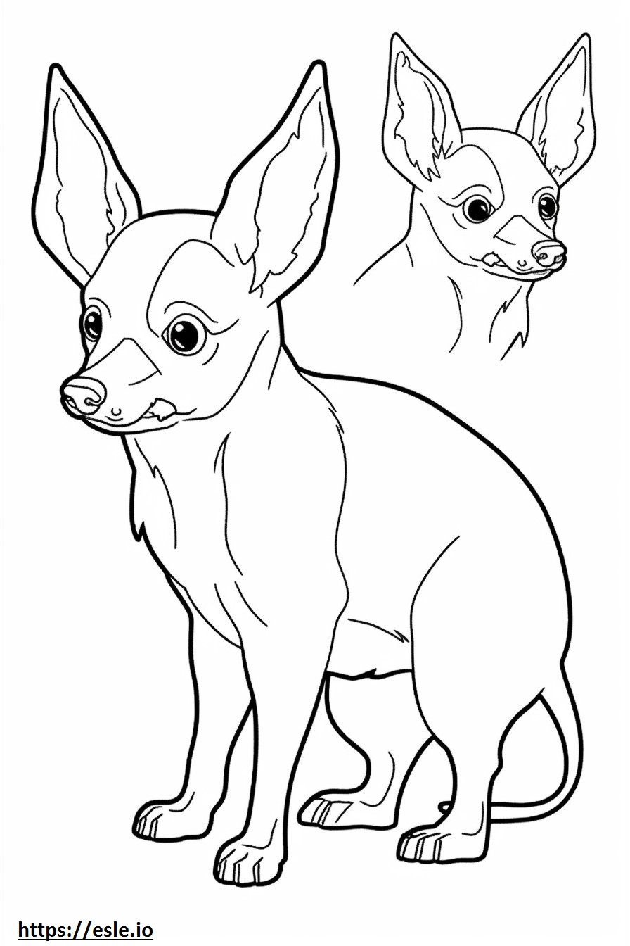 Przyjazny Chihuahua z głową jabłka kolorowanka