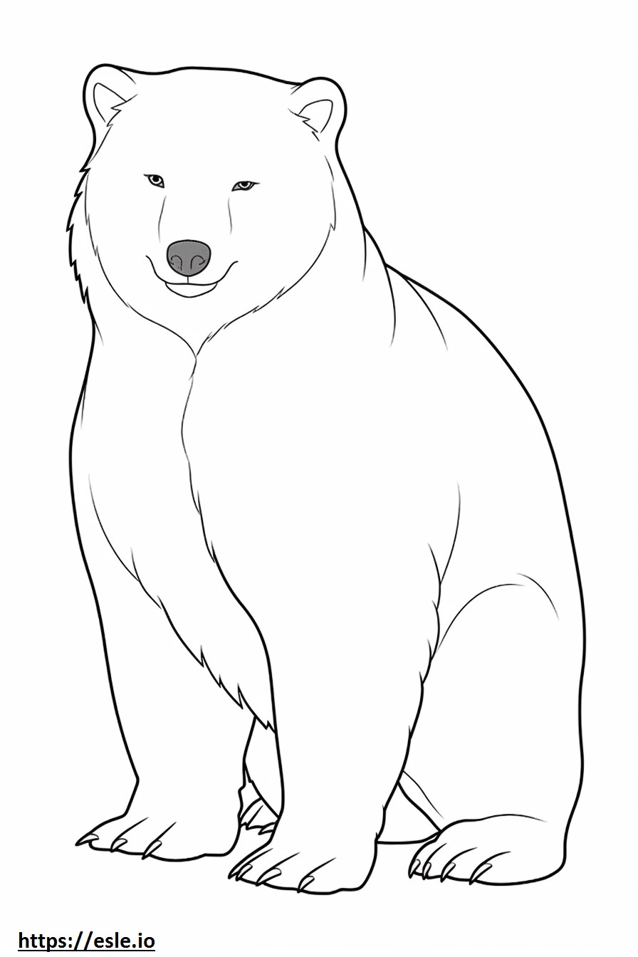 Arctic Fox koko vartalo värityskuva