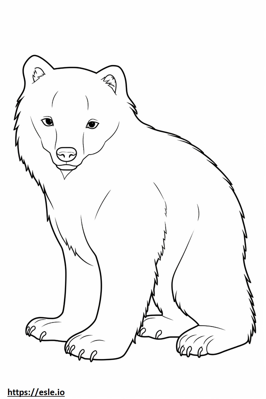 Arctic Fox baby coloring page