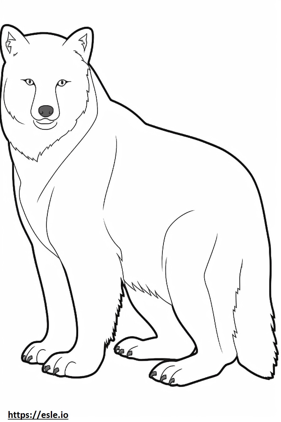 Corpo inteiro da Raposa do Ártico para colorir