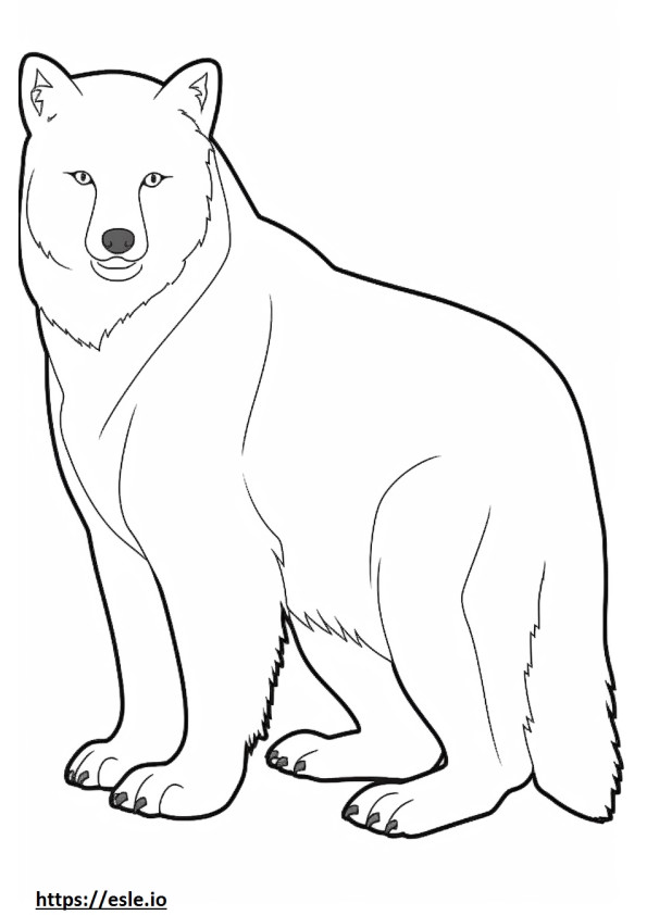 Arctic Fox koko vartalo värityskuva