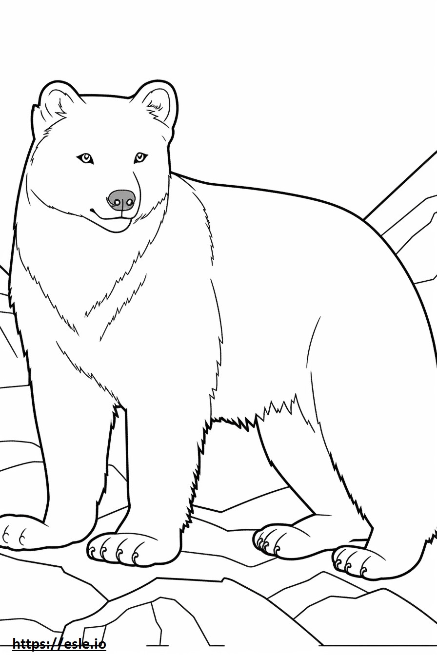Arctic Fox cute coloring page