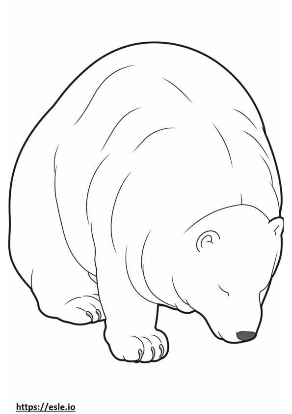 Raposa Ártica dormindo para colorir