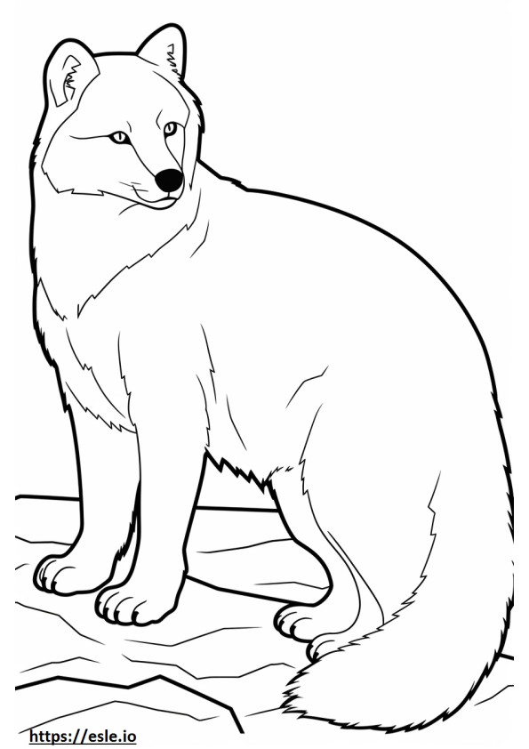 Arctic Fox fericit de colorat