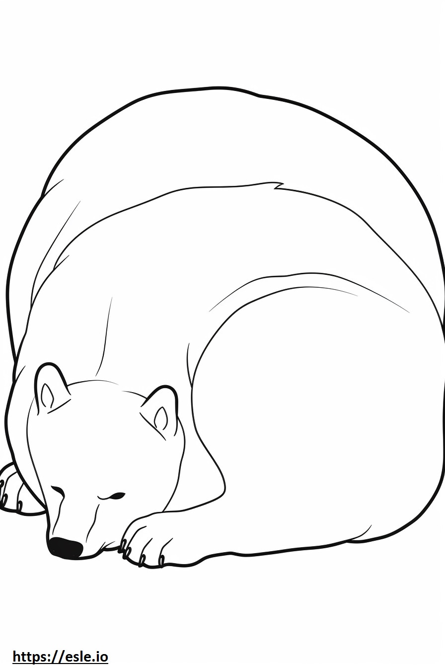 Lis polarny śpi kolorowanka