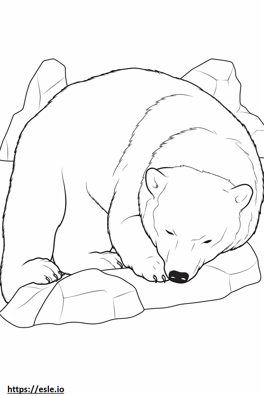 Coloriage Renard arctique dormant à imprimer