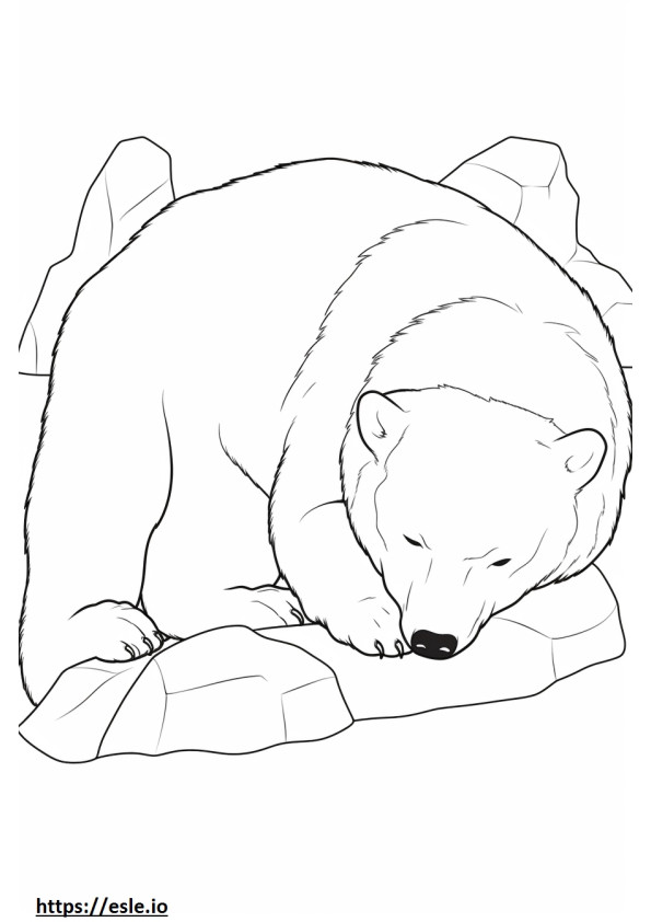 眠る北極キツネ ぬりえ - 塗り絵