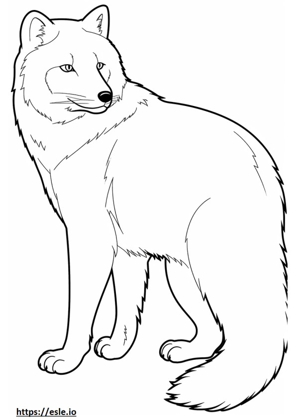 Arctic Fox -ystävällinen värityskuva