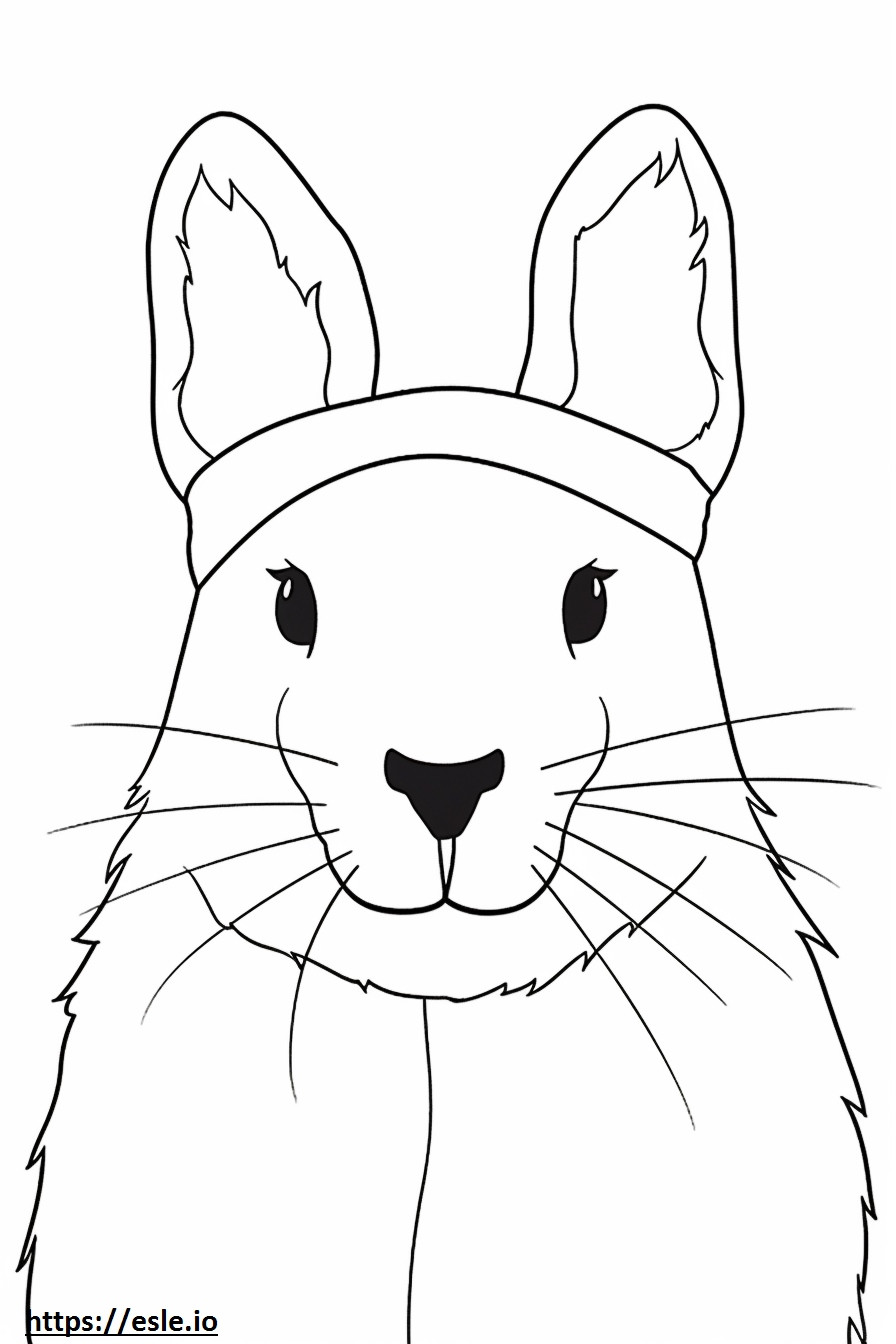 Arktik Tavşan yüzü boyama
