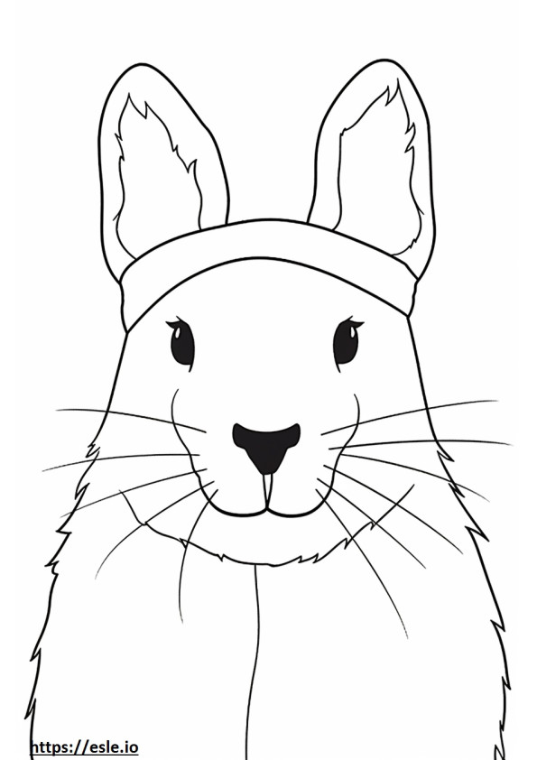 Arctic Hare face coloring page