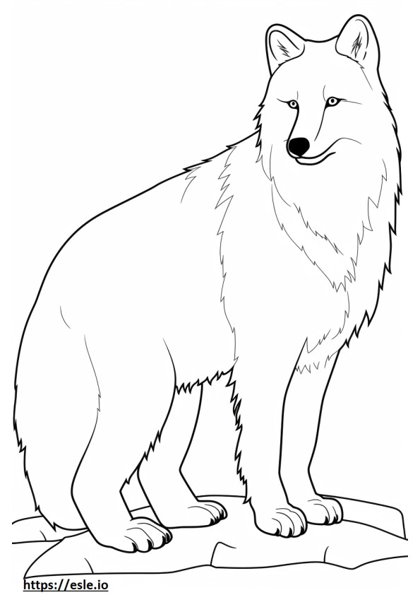 Arctic Fox Friendly coloring page