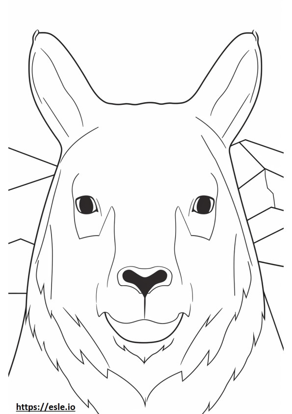 Arctic Hare face coloring page