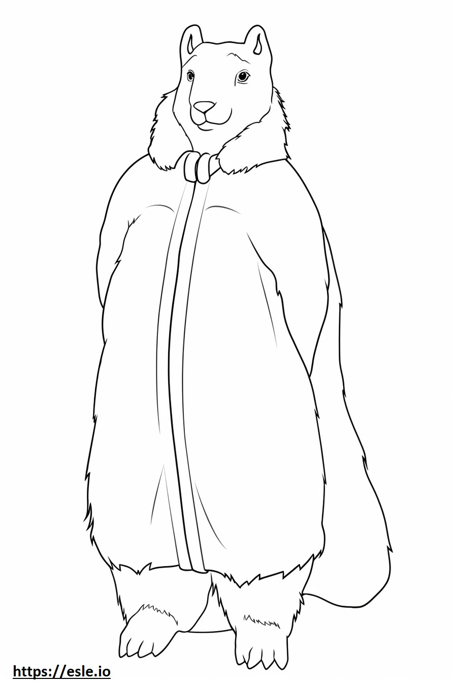 Arctic Hare full body coloring page