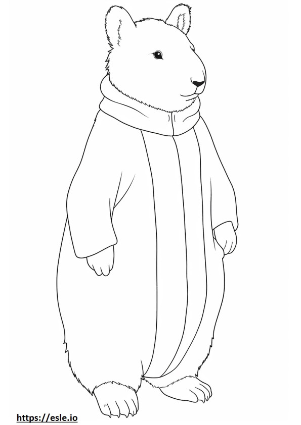 Arctic Hare full body coloring page