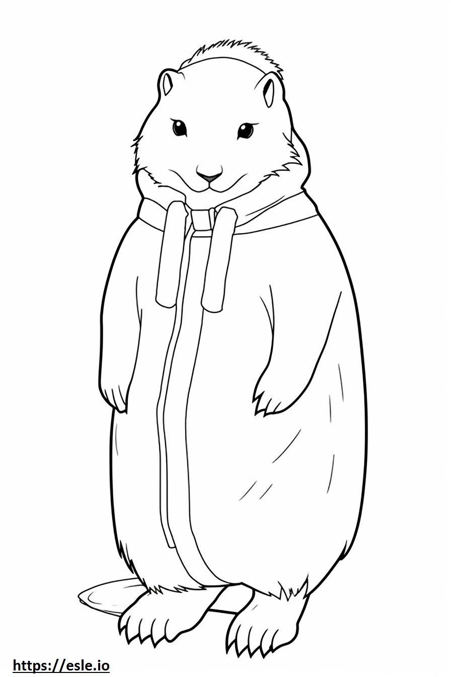 Arctic Hare koko vartalo värityskuva