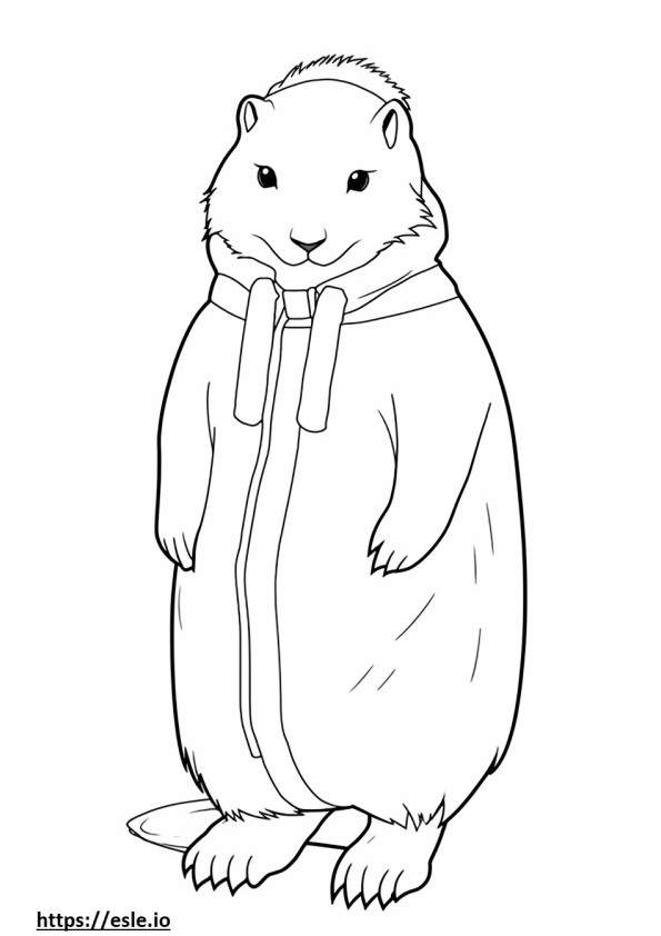Arktik Tavşan tam vücut boyama